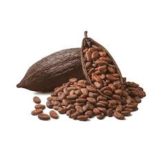 Cocoa Bean Extract Manufacturer
