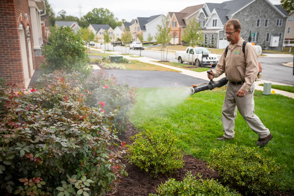 Mosquito Control Services