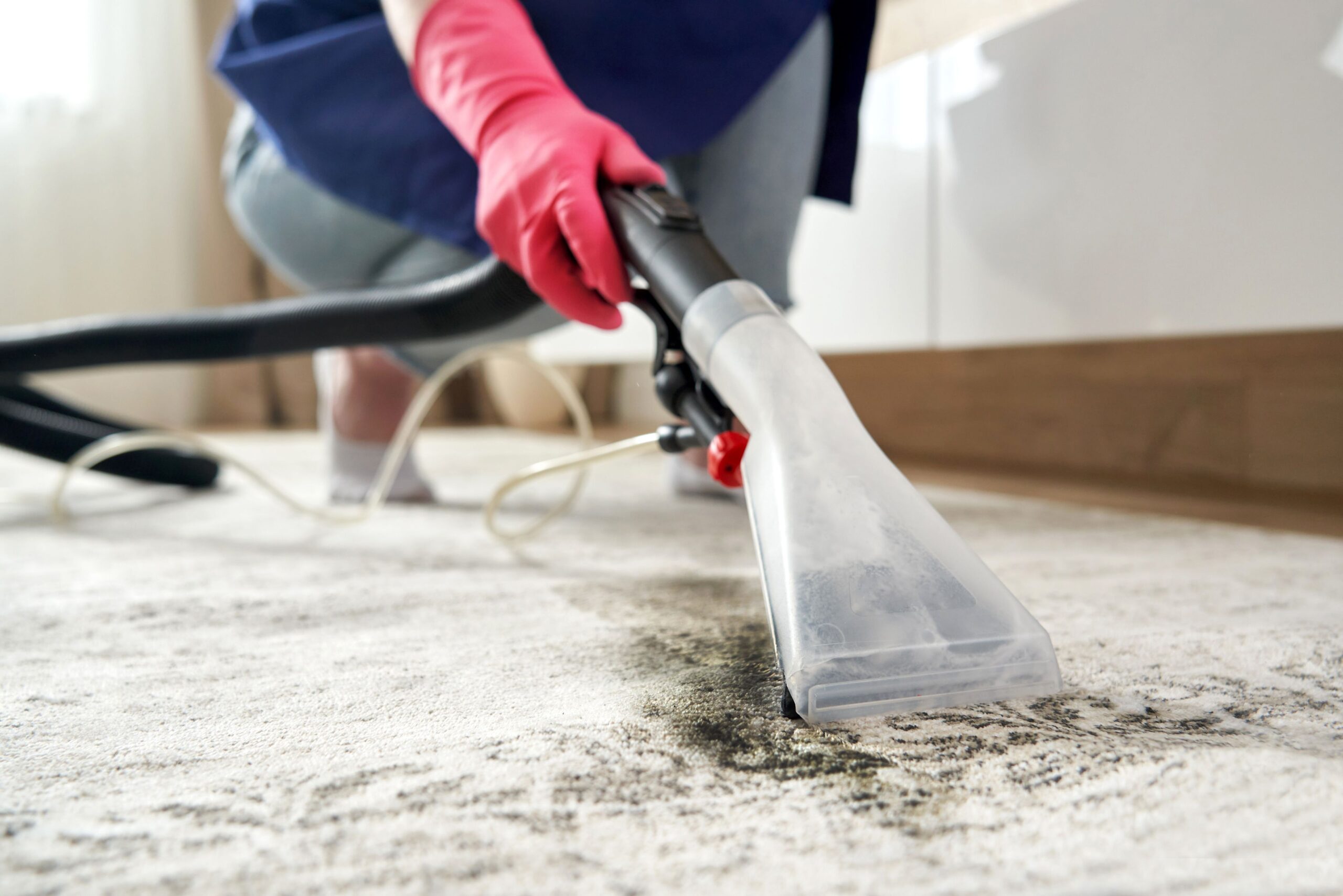 Carpet-Cleaning-Services