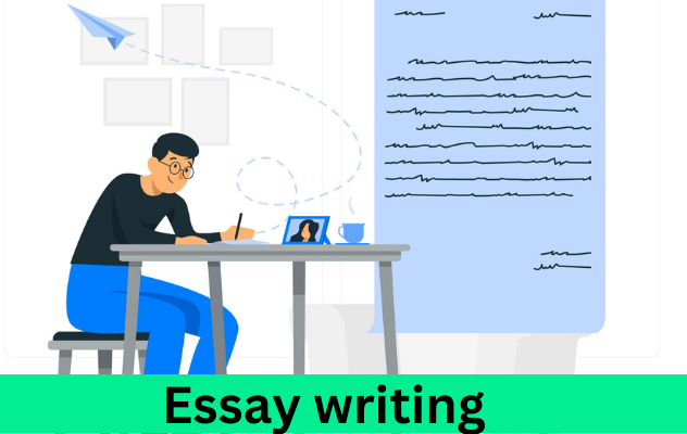 essay help