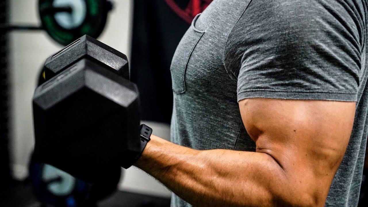 wellhealth how to build muscle tag