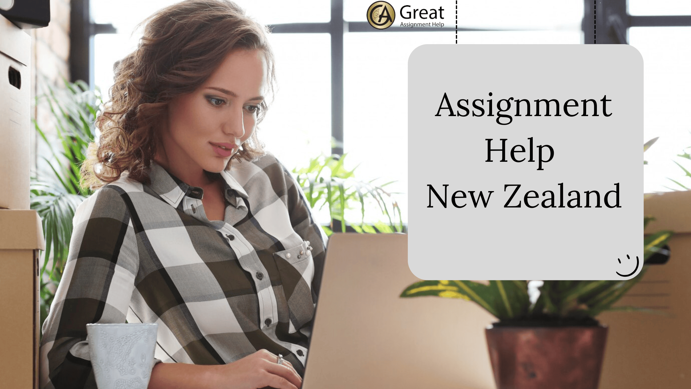 Assignment Help New Zealand