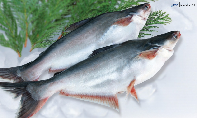 Global Fish Collagen Peptides Market