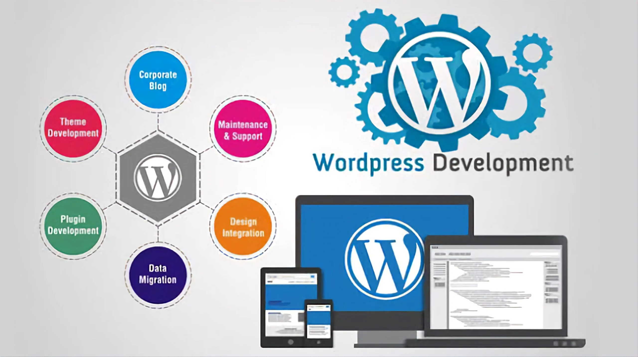 website development wordpress theme