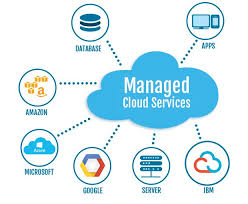 managed cloud service provider in Virginia