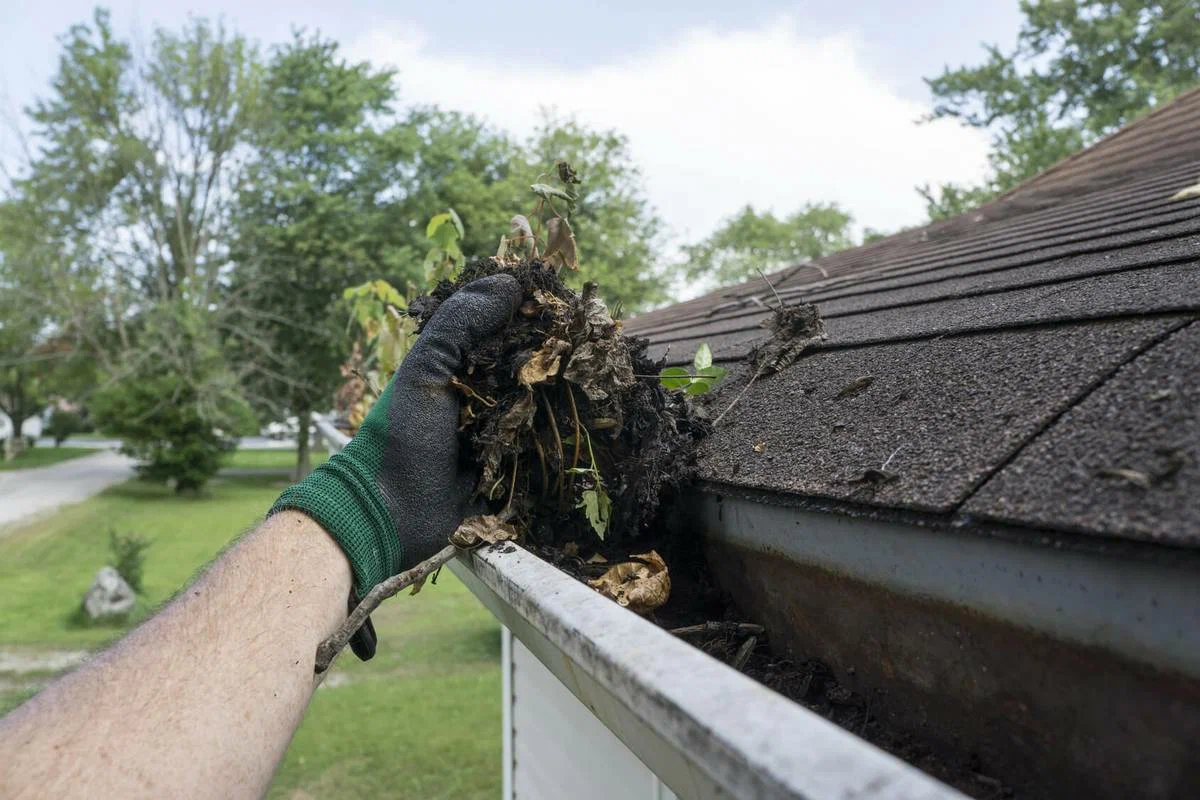 rain gutter cleaners