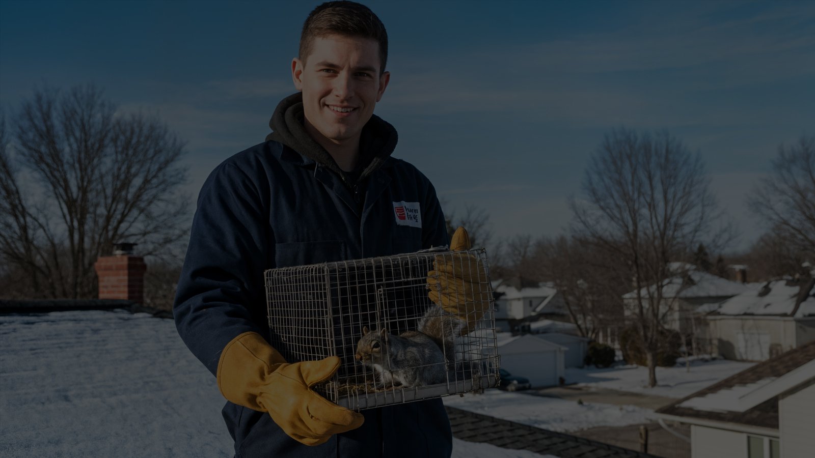industrial pest control services