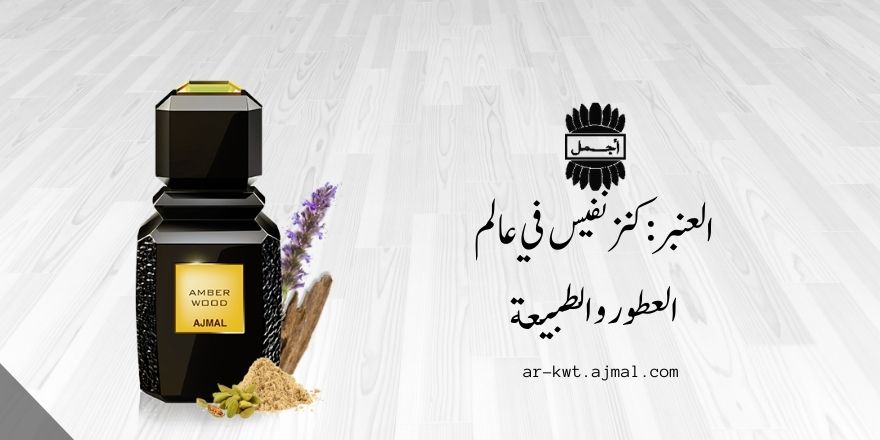 عنبر