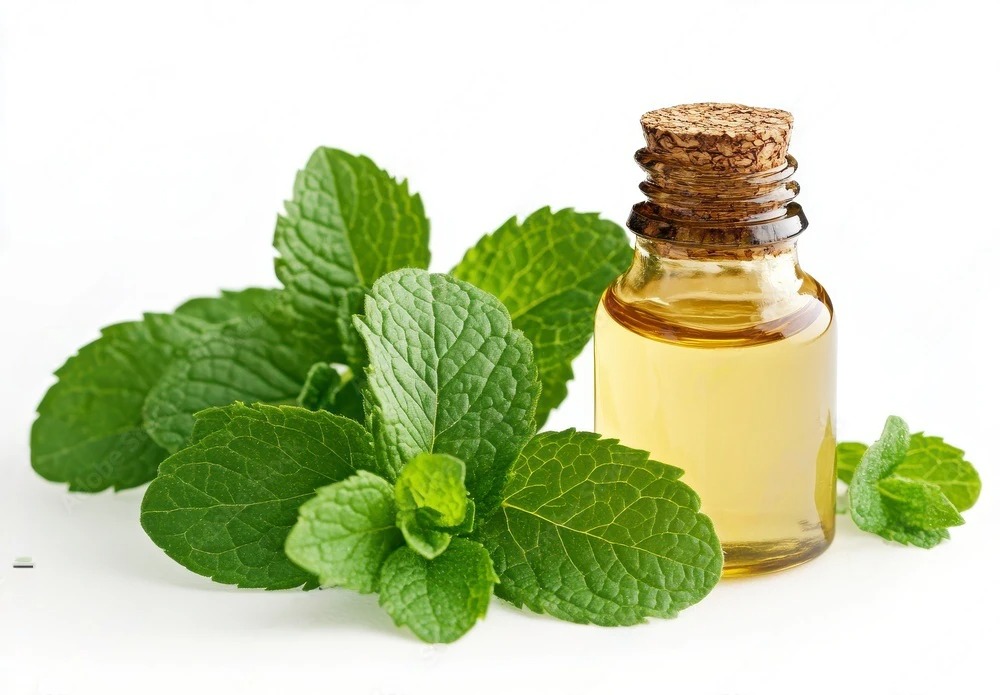 peppermint oil suppliers