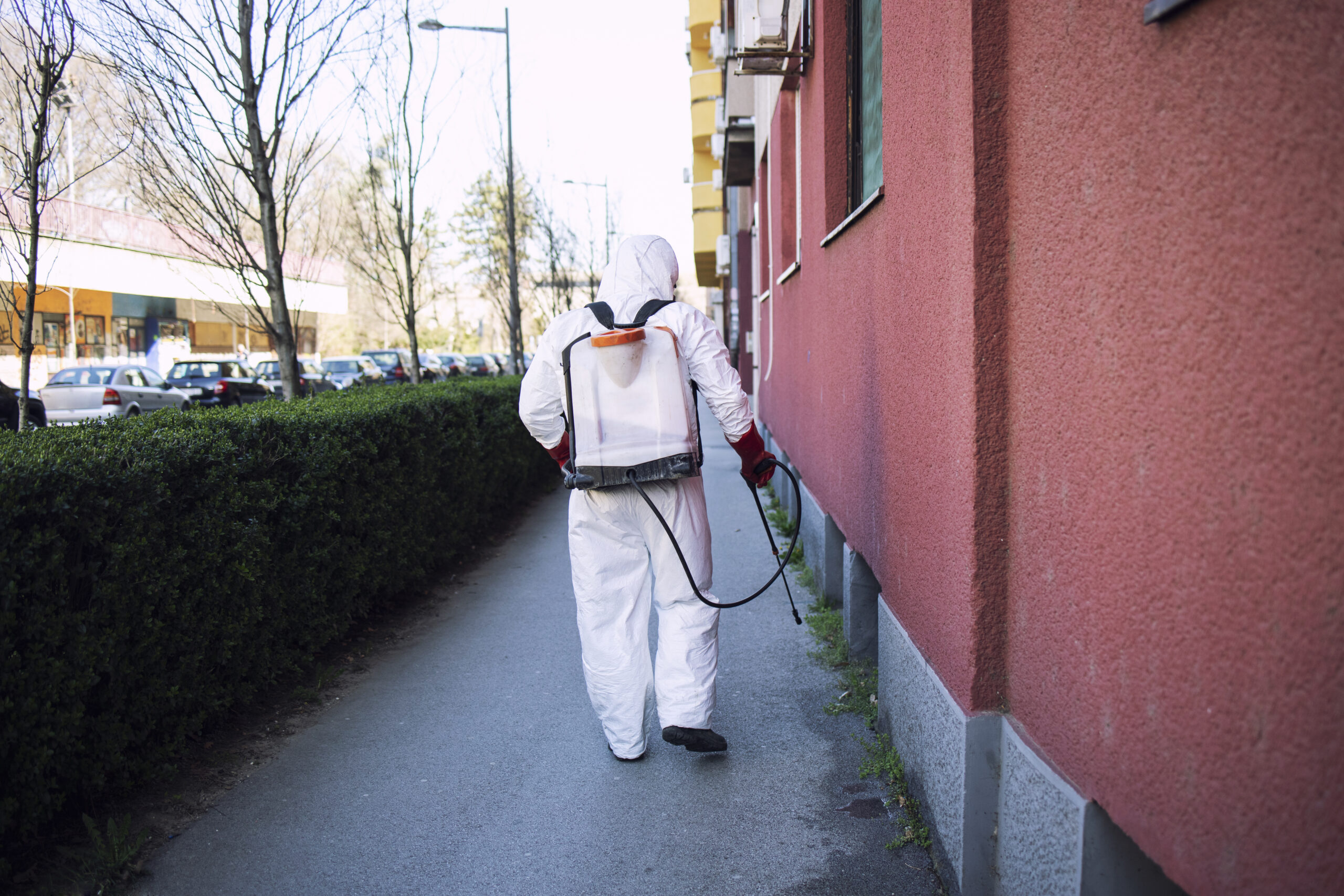 Benefits of SEO for Pest Control Companies​​​​​​