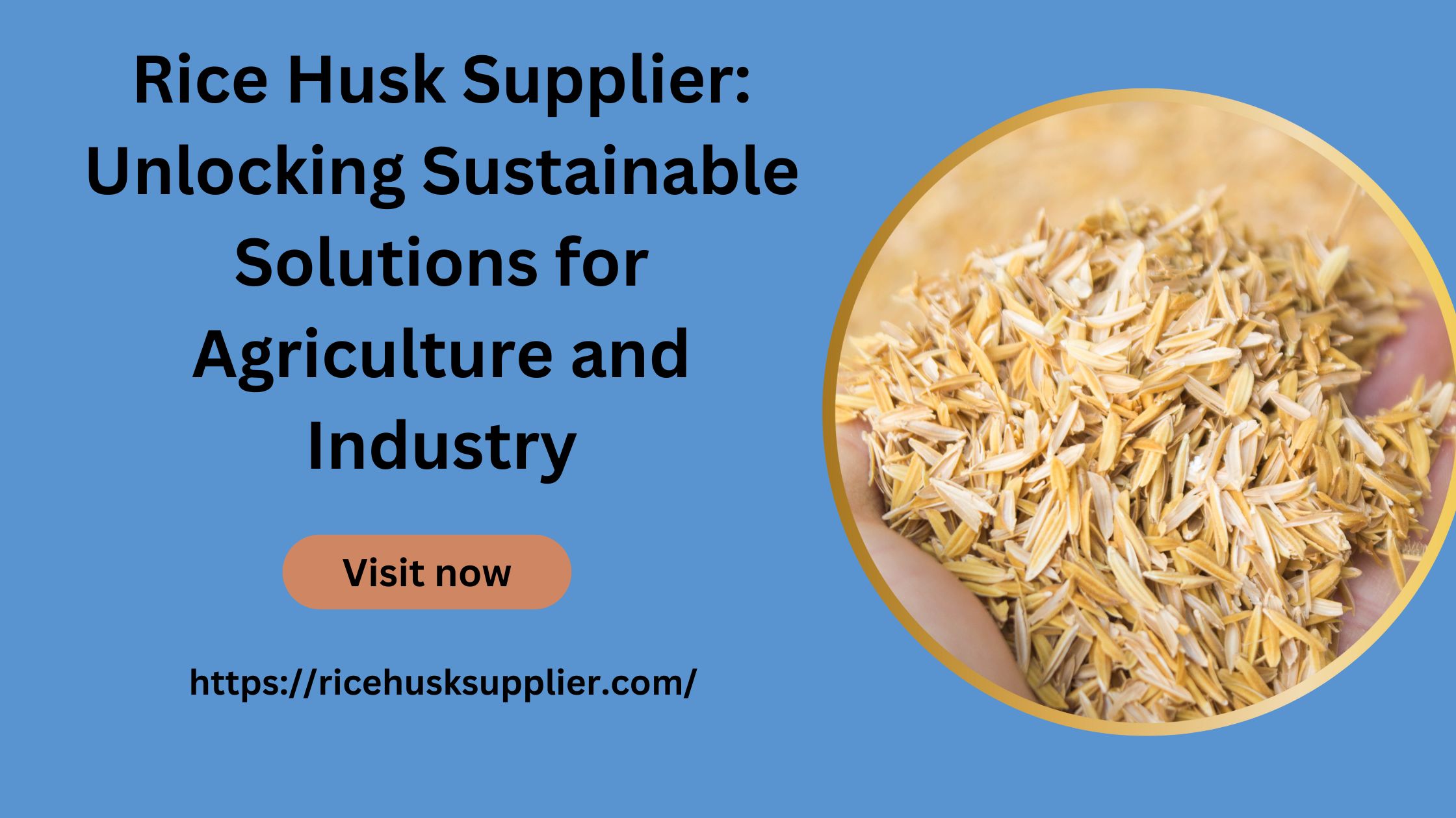 Rice Husk Supplier Unlocking Sustainable Solutions for Agriculture and Industry