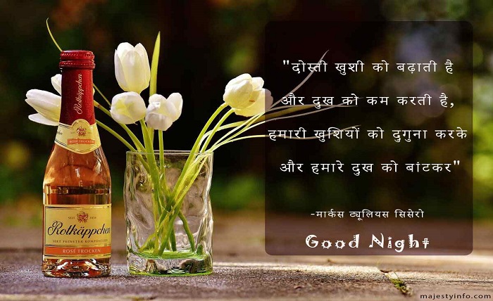 heart touching good night quotes in hindi