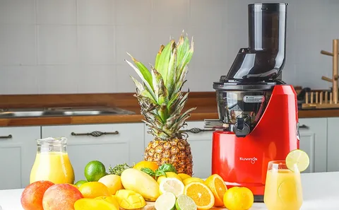 Kuvings Cold Press Juicer