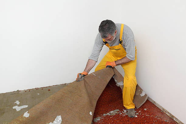 DIY Carpet Cleaning
