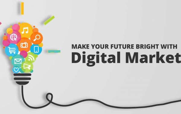 Seo services in noida