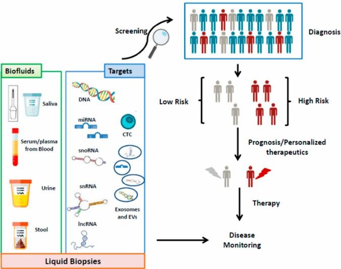 epigenetics-of-non-coding-rna-ncrna-an-overview-of-bioinformatics-4