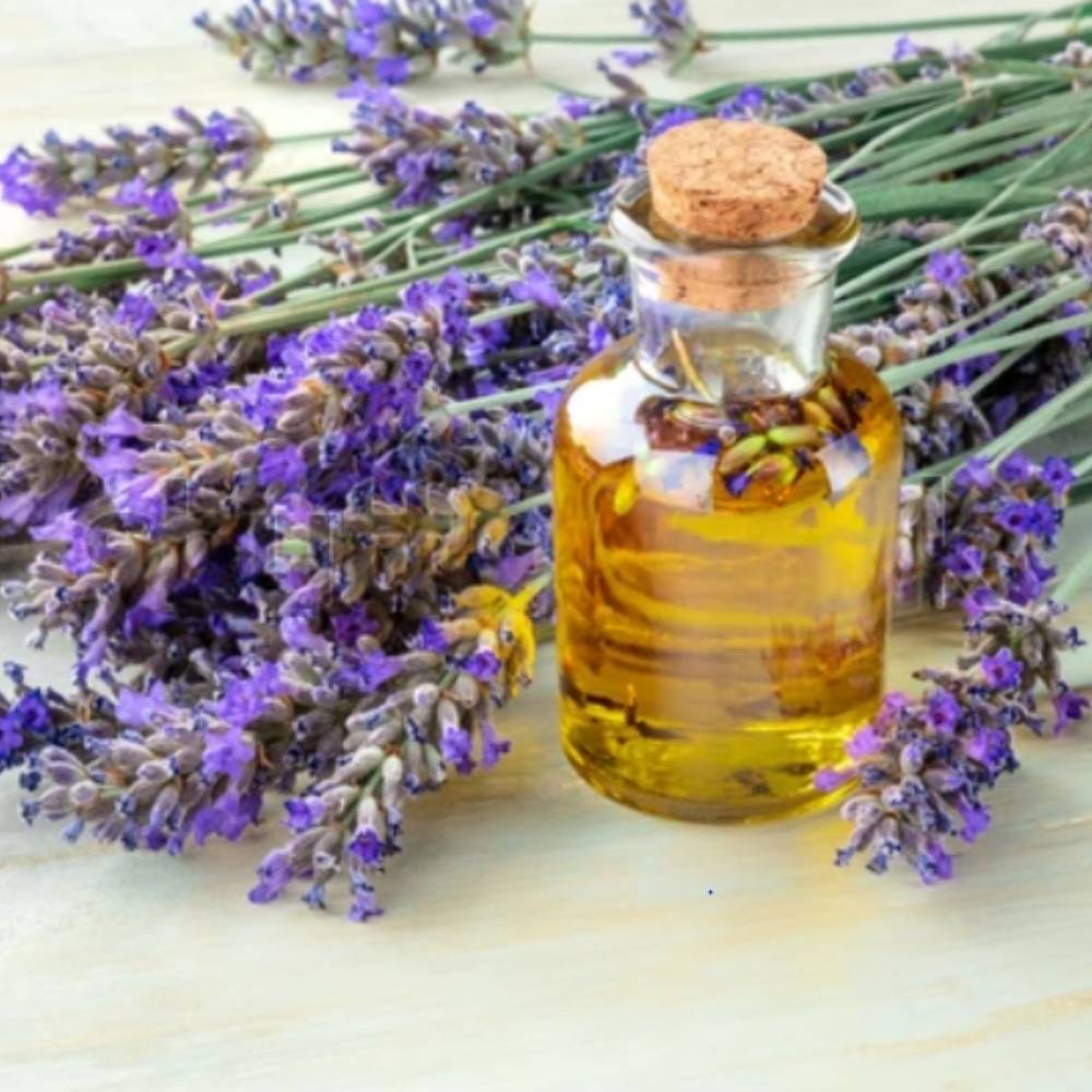 essential oil bulk suppliers