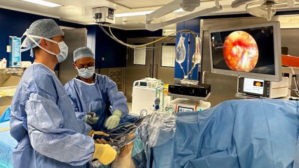 hip replacement surgery cost