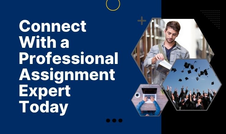 Assignment Help