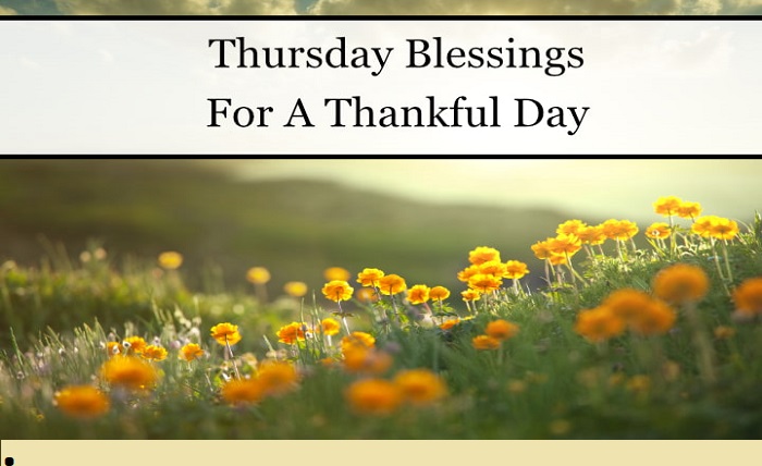 thankful thursday blessings