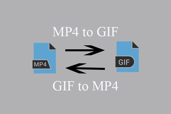 GIF to MP4 Converter