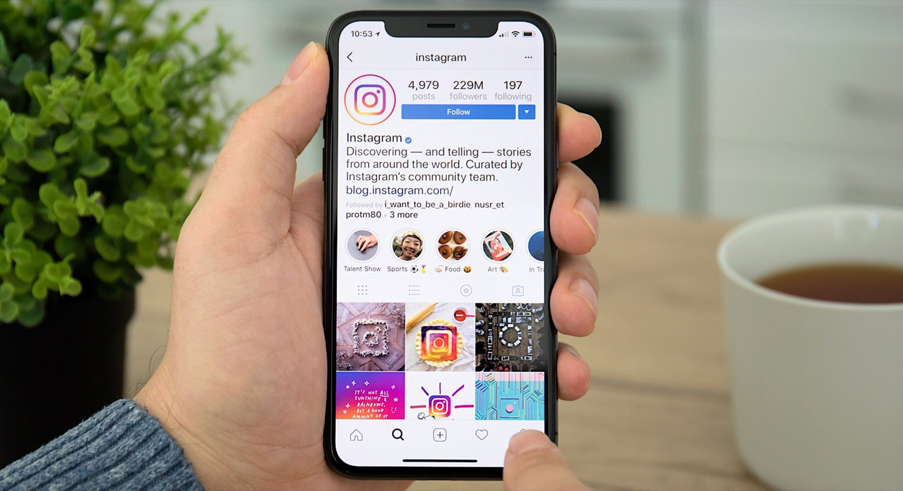 Instagram Story Viewer