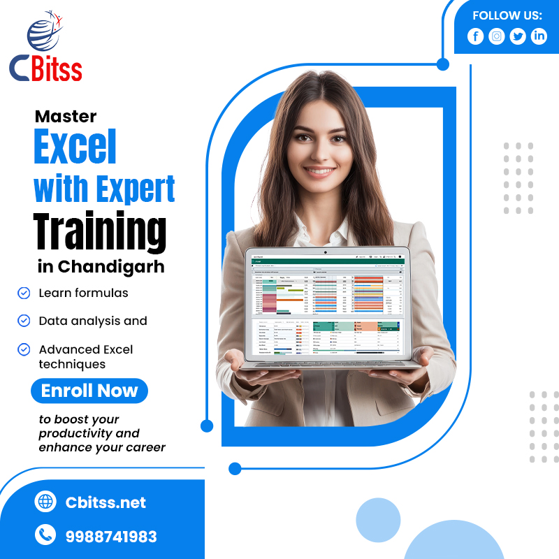 Unlock Your Professional Potential with Advanced Excel Skills