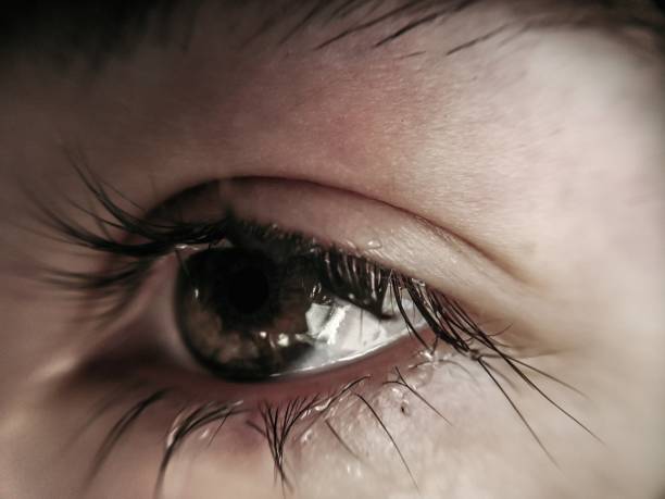 How Soon Can You See Eyelash Hair Transplant Results?