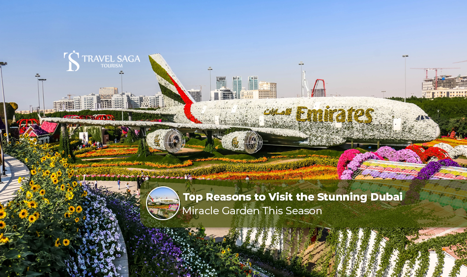 image-Top-Reasons-to-Visit-the-Stunning-Dubai-Miracle-Garden-This-Season