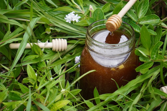 organic white honey in dubai