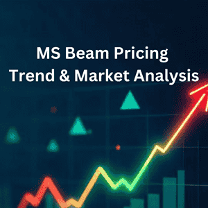 MS Beam