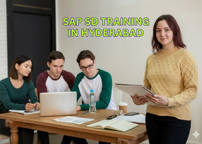https://versionit.org/sap-sd-training-in-hyderabad.html