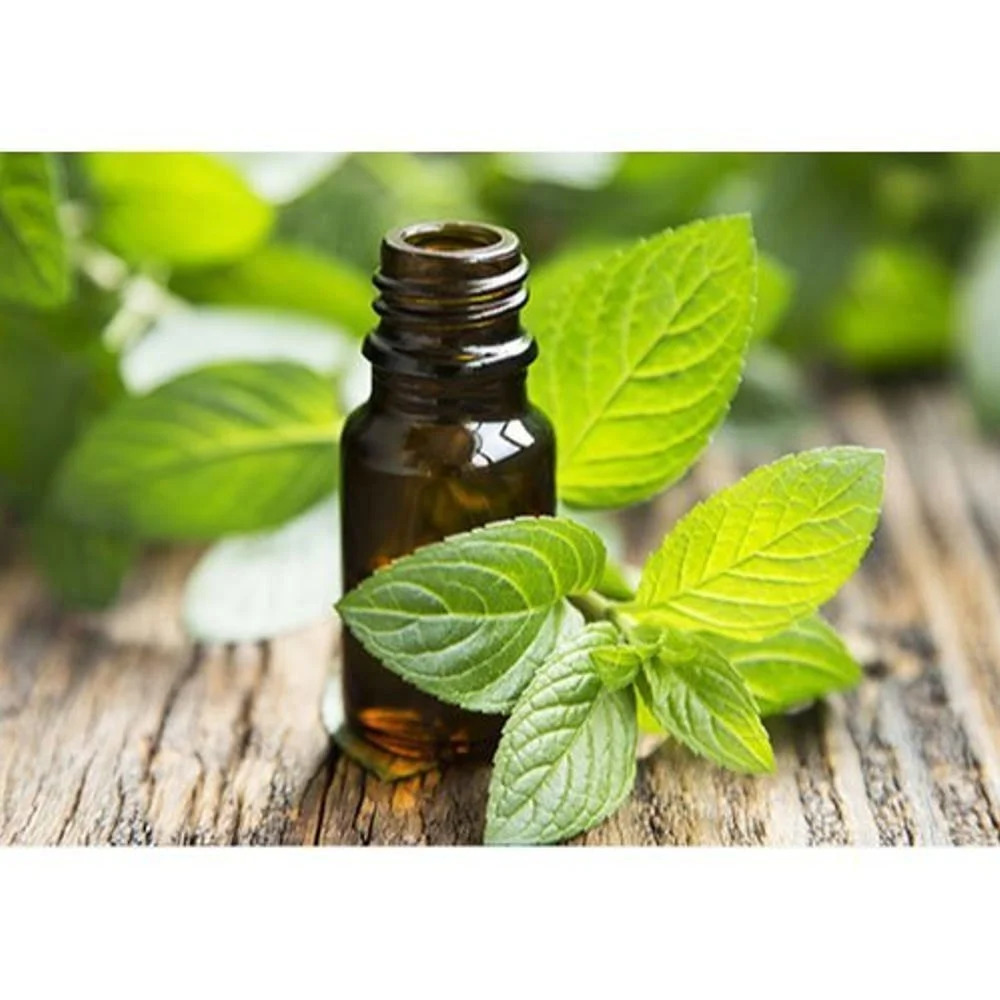 High-quality Spearmint Oil Manufacturers producing pure essential oil