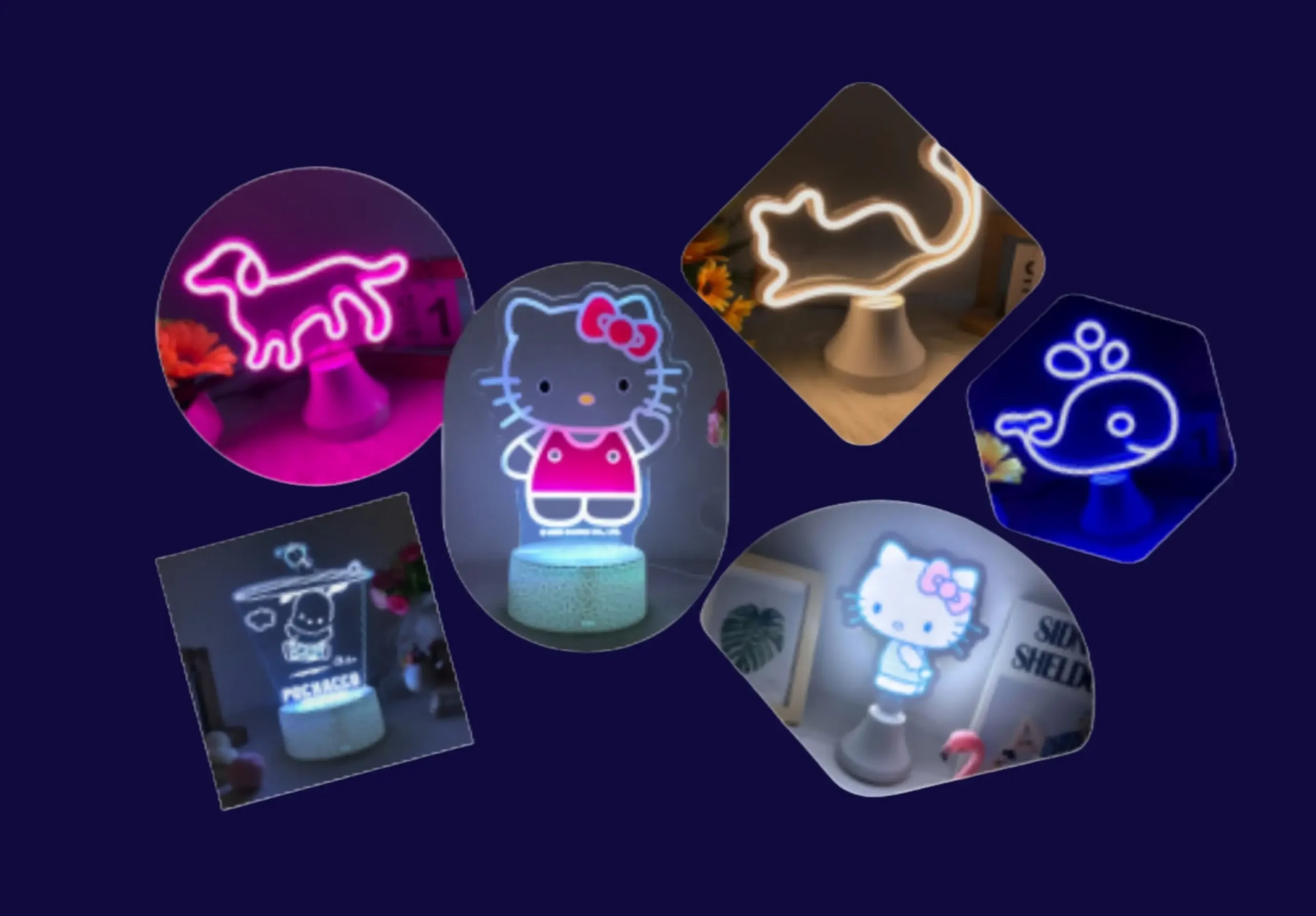 Neon Light Supplier