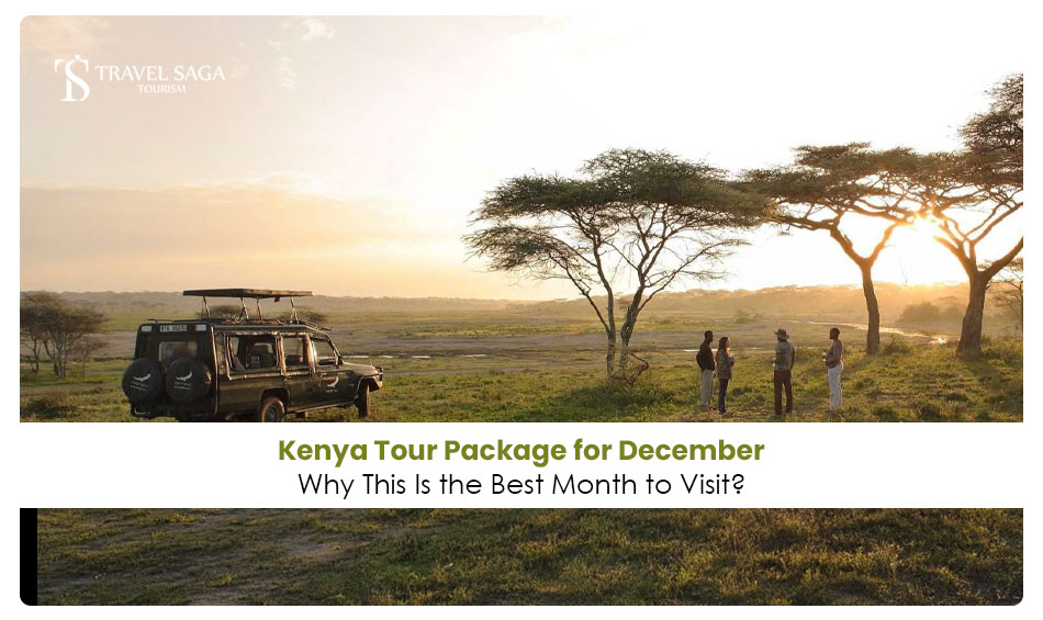 image-Kenya-Tour-Package-for-December-Why-This-Is-the-Best-Month-to-Visit