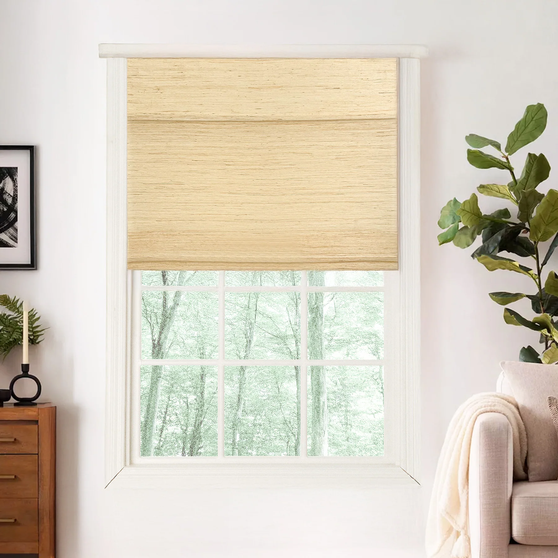roman shades windows