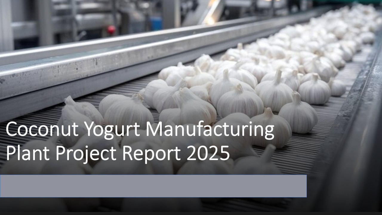 Garlic Powder Manufacturing Plant