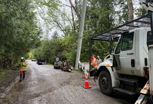 DIY Tree Removal: A Guide for Ottawa Residents