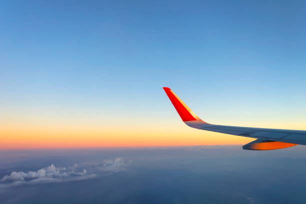 Flights to Aruba Best Deals eazair