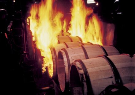 Peated Scotch, Islay single malt, Campfire smoke,Peat reek, Smoky whiskey notes, Phenolic whisky, Islay region Scotch