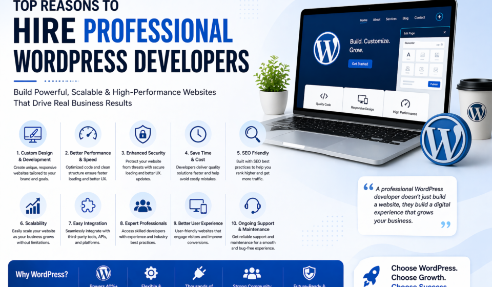 hire professional wordpress developers