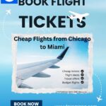 Flight tickets from Chicago to Miami, Cheap Flights from Chicago to Miami, FareArena, Chicago to Miami Flights, Cheap Flights Chicago to Miami, FareArena Flight Booking, Chicago to Miami Airfare Deals, Book Flights to Miami, USA Domestic Flights Deals, Chicago to Miami Travel Guide